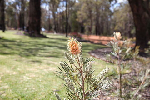 Amaroo Retreat & Spa - Holiday Great Ocean Road 19