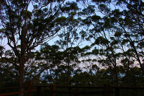 Ark Of Denmark - Holiday Great Ocean Road 27