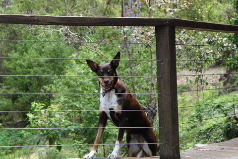 Ark Of Denmark - Holiday Great Ocean Road 10