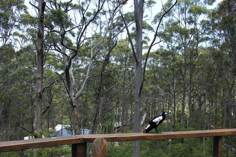 Ark Of Denmark - Holiday Great Ocean Road 11