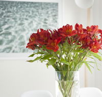 On The Beach Waterfront Apartment - Holiday Great Ocean Road