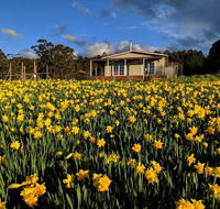 Mountain Blue Guest House - Holiday Great Ocean Road