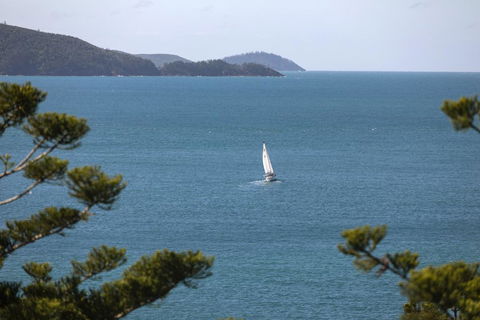 NEW Northcape 1 Ocean Front 2 Bedroom Choose Between 2 Properties - Holiday Great Ocean Road 2
