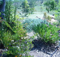 Old Miners' Cottages Bed and Breakfast - Holiday Great Ocean Road
