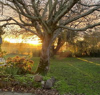 Peg Cottage - Holiday Great Ocean Road