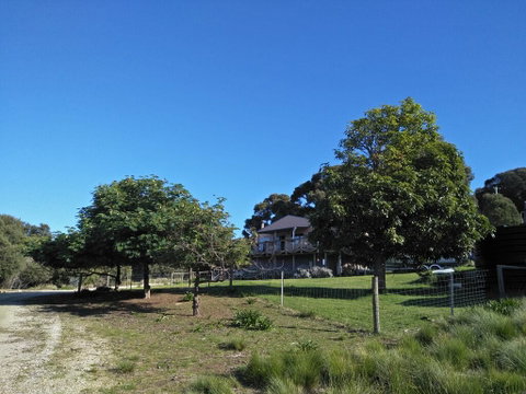 Pine Scrub Beach House - Holiday Great Ocean Road 2