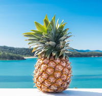 Pineapple House Whitsundays - Holiday Great Ocean Road