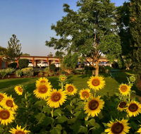 Quirindi Sunflower Motor Inn - Holiday Great Ocean Road