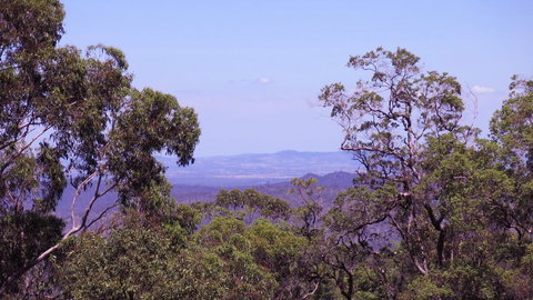 Ravensbourne Escape - Cedar Lodge - Holiday Great Ocean Road 0