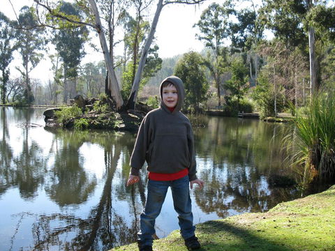RiverCottage-selfcontained - Holiday Great Ocean Road 2