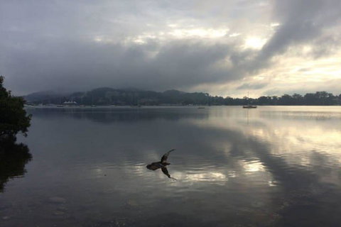 Salty Kisses Holiday House - Holiday Great Ocean Road 2