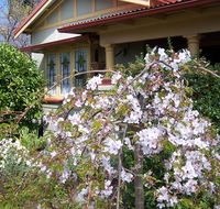 Shelton-Lea Bed  Breakfast