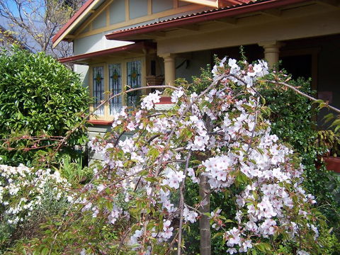 Shelton-Lea Bed & Breakfast - Holiday Great Ocean Road 0
