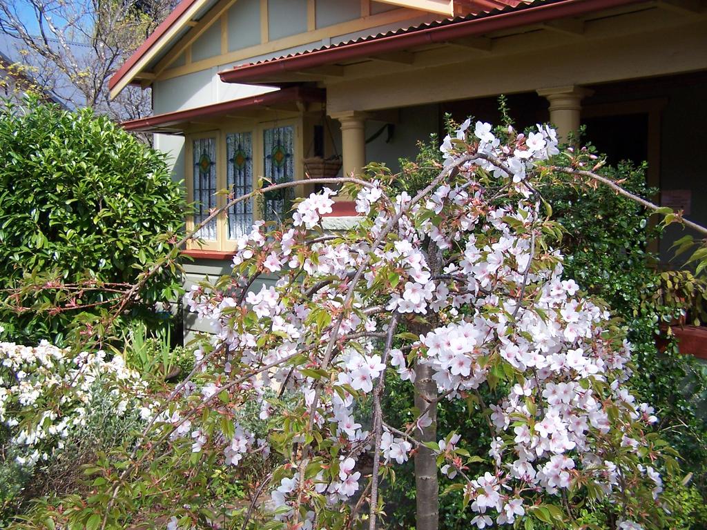 Katoomba NSW Holiday Great Ocean Road