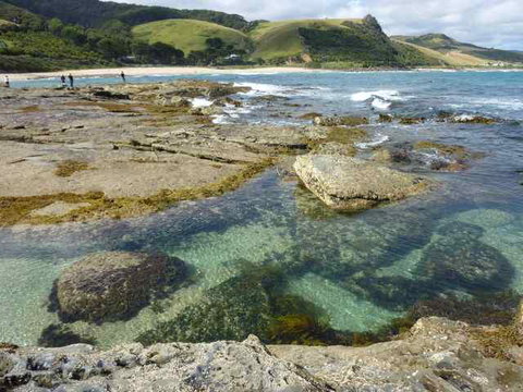 Skenes Creek Beachfront Caravan Park - Holiday Great Ocean Road 3