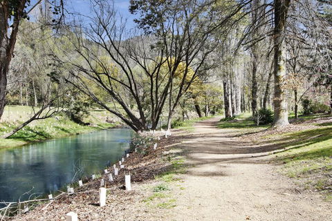 Snowstream Riverside Apartments - Unit 1 - Holiday Great Ocean Road 1