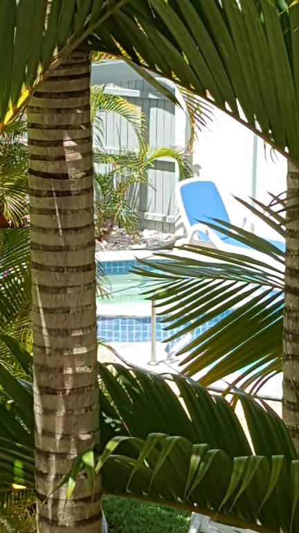 Studio Apartment Mooloolaba Beach Holiday Management - Holiday Great Ocean Road 0