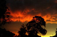 Book Thulimbah Accommodation Vacations Holiday Great Ocean Road Holiday Great Ocean Road