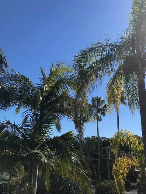 Terrigal Pacific Coastal Retreat - Holiday Great Ocean Road 3