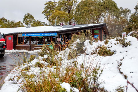 Discovery Parks - Cradle Mountain - Holiday Great Ocean Road 29