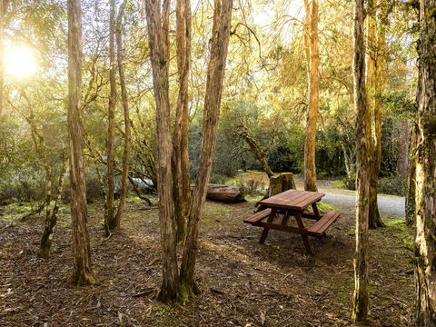 Discovery Parks - Cradle Mountain - Holiday Great Ocean Road 19