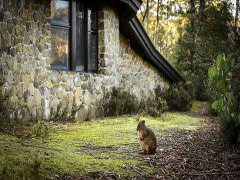Discovery Parks - Cradle Mountain - Holiday Great Ocean Road 22