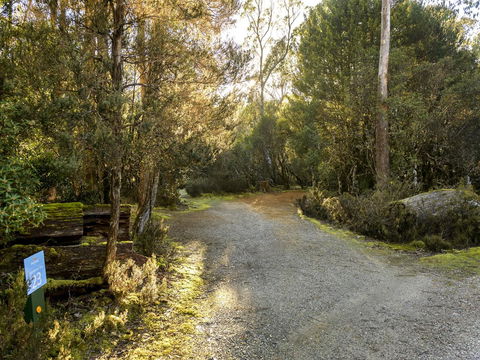 Discovery Parks - Cradle Mountain - Holiday Great Ocean Road 1