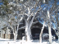 Book Dinner Plain Accommodation Vacations Holiday Great Ocean Road Holiday Great Ocean Road