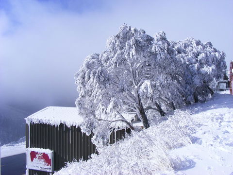 Arlberg Hotham - Holiday Great Ocean Road 15