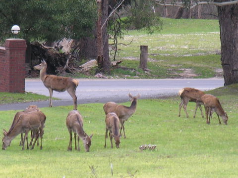 The Grampians Motel - Holiday Great Ocean Road 23