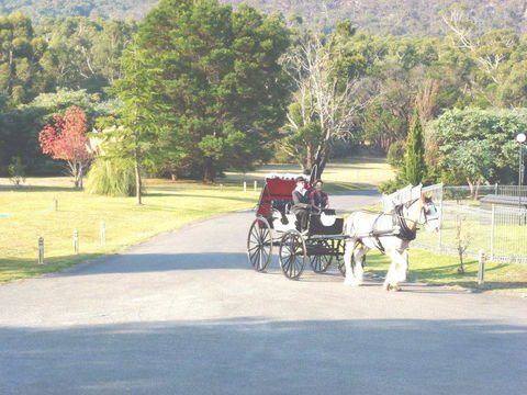 The Grampians Motel - Holiday Great Ocean Road 24