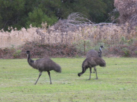 The Grampians Motel - Holiday Great Ocean Road 22