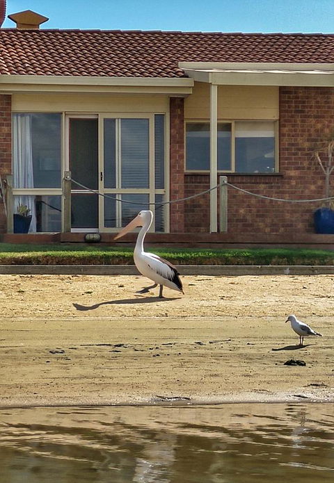 Waterfront Retreat - Holiday Great Ocean Road 25