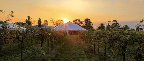Bay Motel Safety Beach - Holiday Great Ocean Road 21
