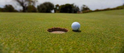 Bay Motel Safety Beach - Holiday Great Ocean Road 14
