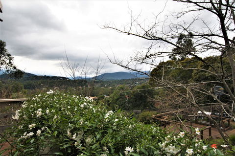 Hamptons In Healesville - Holiday Great Ocean Road 13