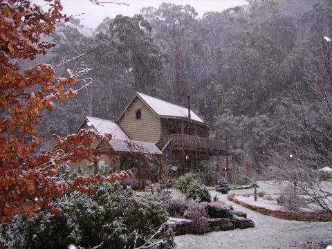 Shady Brook Cottages - Holiday Great Ocean Road 24