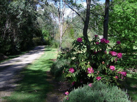 Shady Brook Cottages - Holiday Great Ocean Road 15