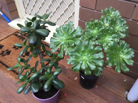 Doncaster Westfield Home Stay - Holiday Great Ocean Road 23