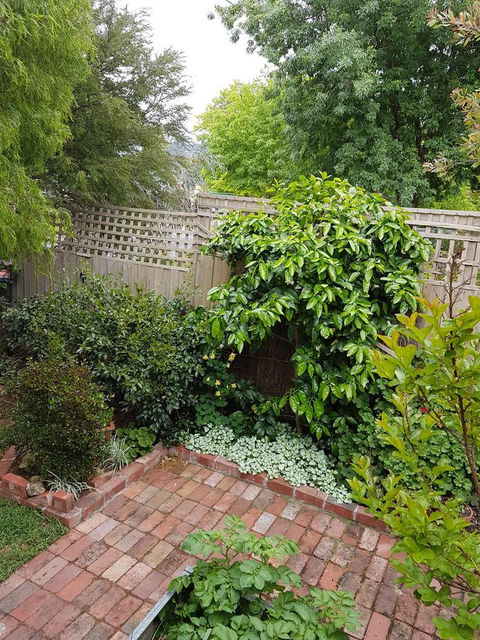 Healesville House - Fig Tree House - Holiday Great Ocean Road 21