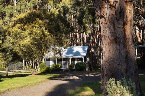 Bodhi Daylesford - Holiday Great Ocean Road 8