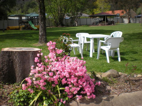 Willow Dene Holiday Apartments - Holiday Great Ocean Road 24