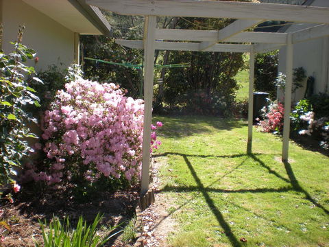 Willow Dene Holiday Apartments - Holiday Great Ocean Road 25