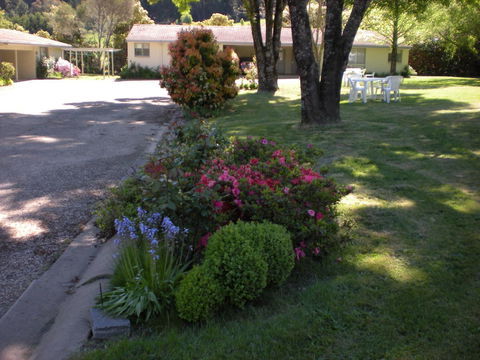 Willow Dene Holiday Apartments - Holiday Great Ocean Road 22