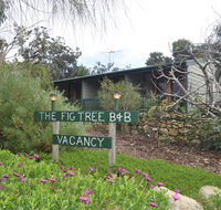 The Fig Tree BB - Holiday Great Ocean Road