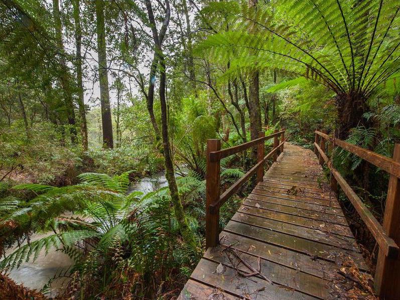 Tanybryn VIC Holiday Great Ocean Road