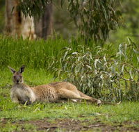 The Stirling Golf Club - Holiday Great Ocean Road
