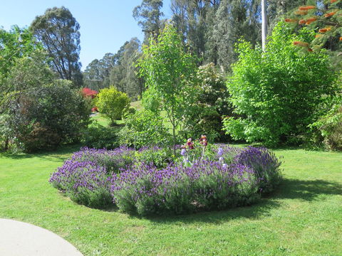 Amelina Cottages - Holiday Great Ocean Road 32