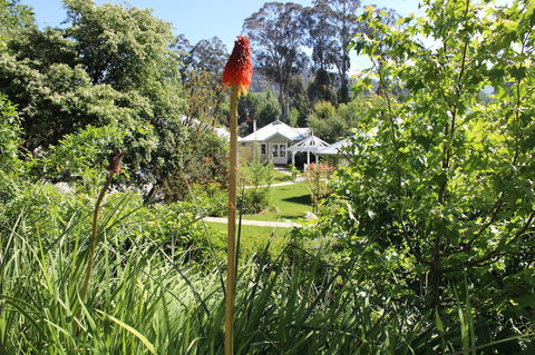 Amelina Cottages - Holiday Great Ocean Road 23