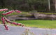 Marwood Villas - thumb 35